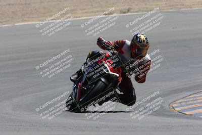 media/Apr-09-2023-SoCal Trackdays (Sun) [[333f347954]]/Turn 10 (115pm)/